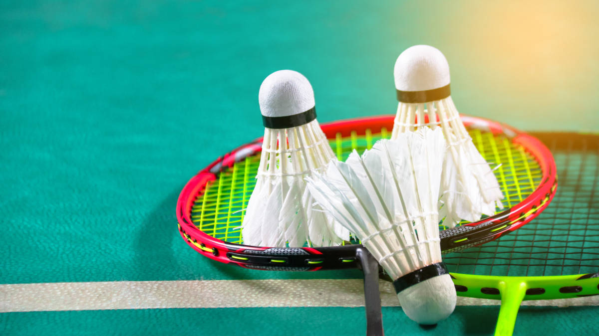 他便利用一 他便利用一