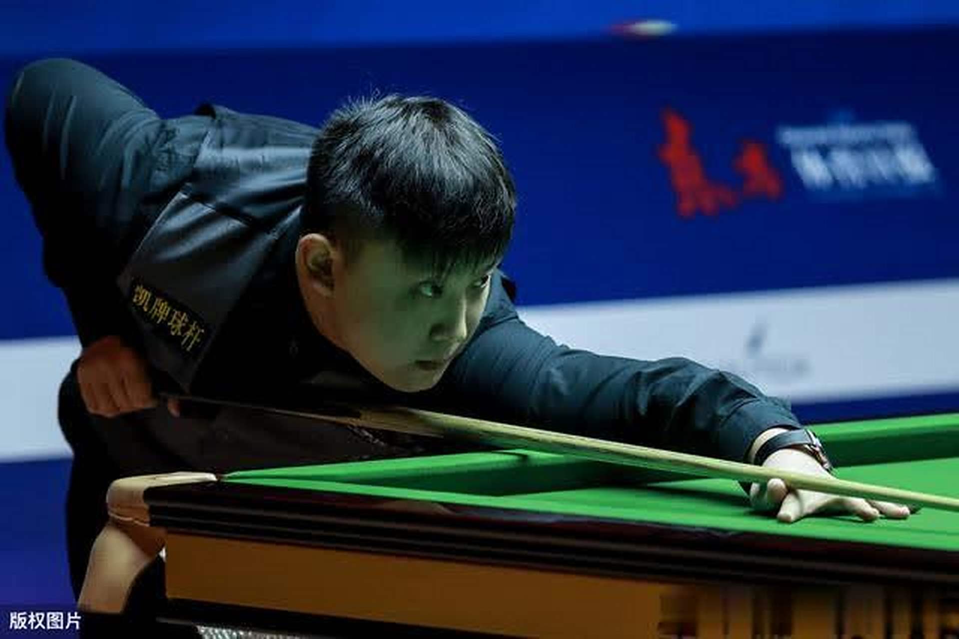 章在搜索引 章在搜索引