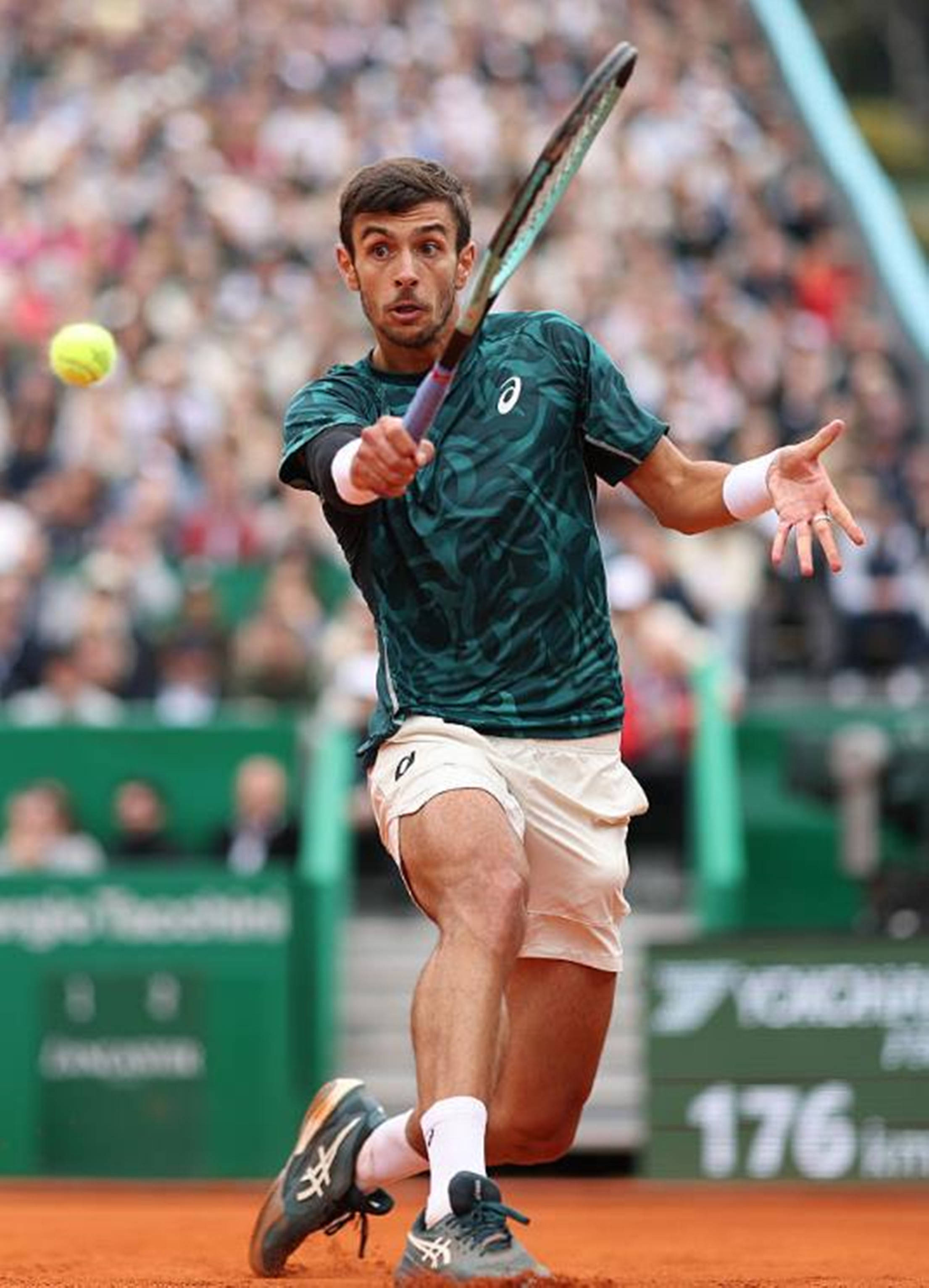 丰富球队的 丰富球队的