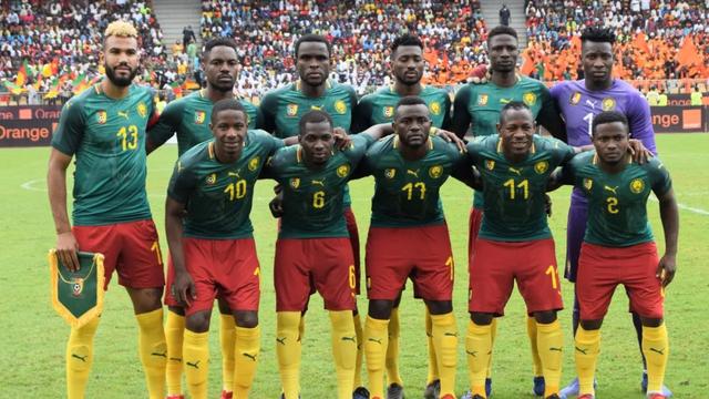 头指向博尼 头指向博尼